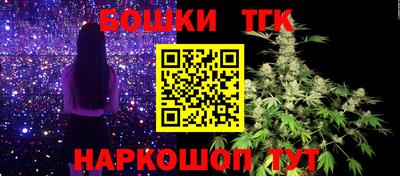 индика Ликино-Дулёво