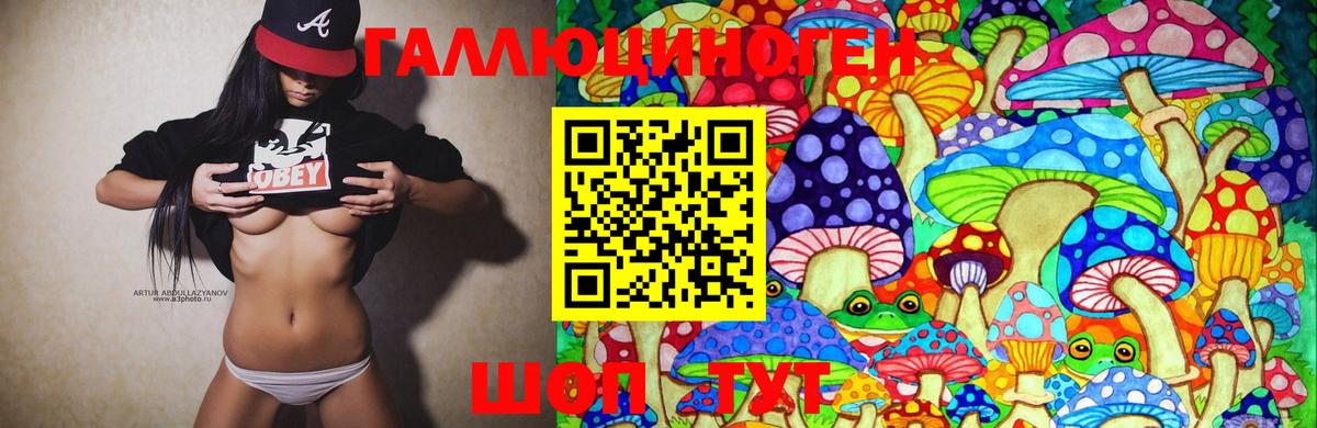 Галлюциногенные грибы Cubensis Бузулук
